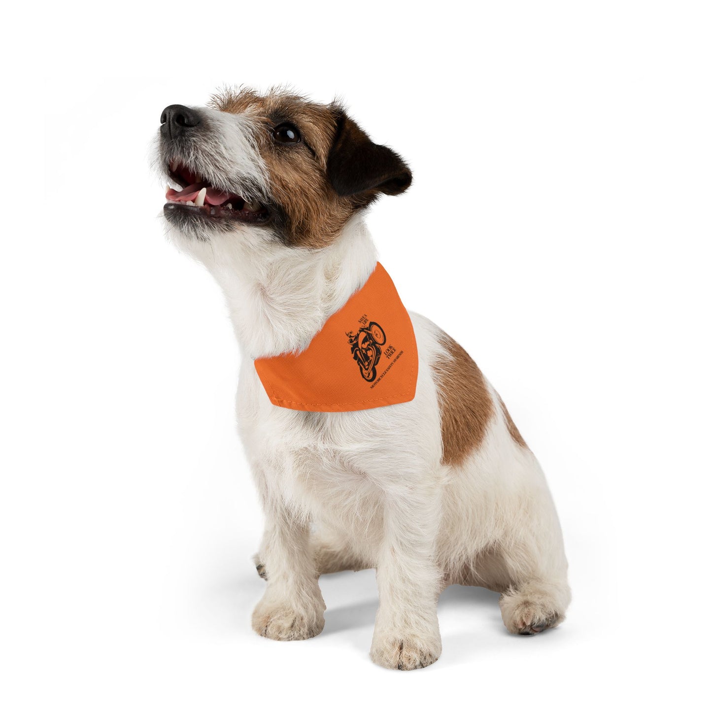 Motorcycle Safety Awareness Pet Bandana Collar