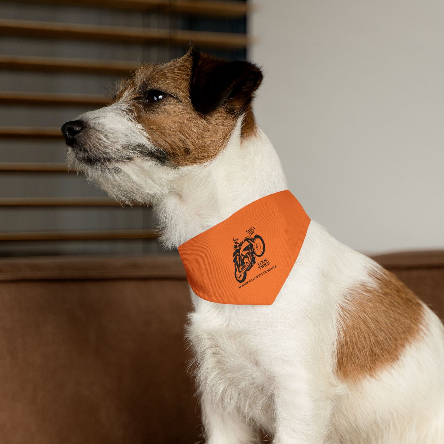 Motorcycle Safety Awareness Pet Bandana Collar