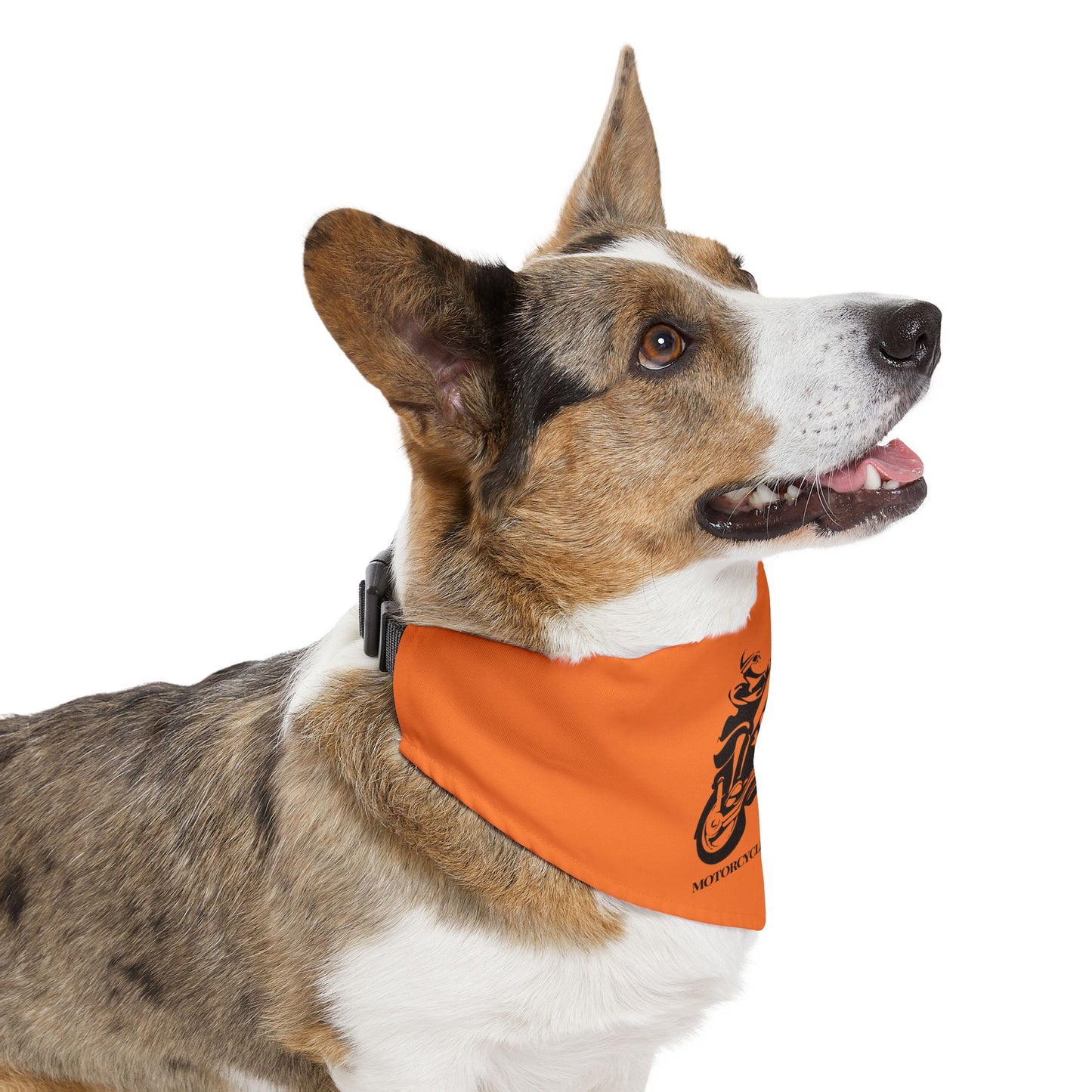 Motorcycle Safety Awareness Pet Bandana Collar