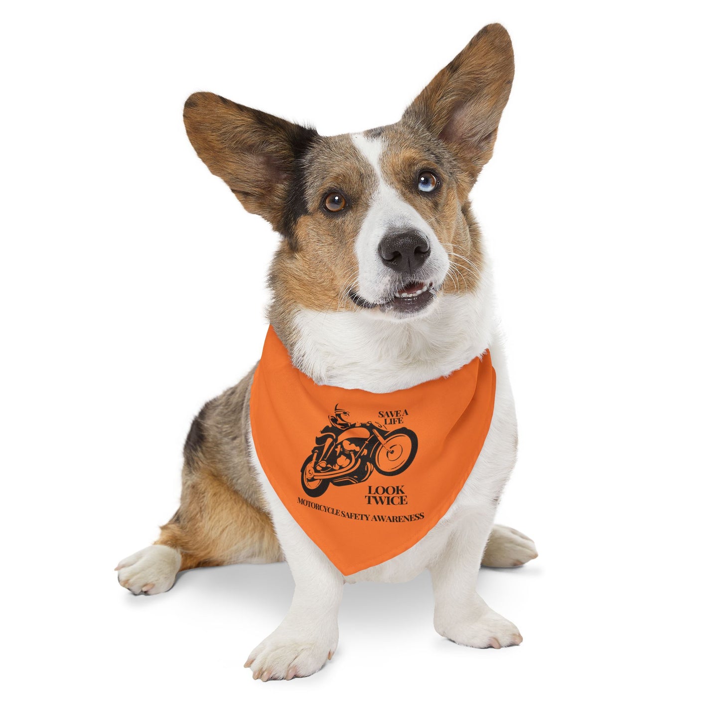 Motorcycle Safety Awareness Pet Bandana Collar