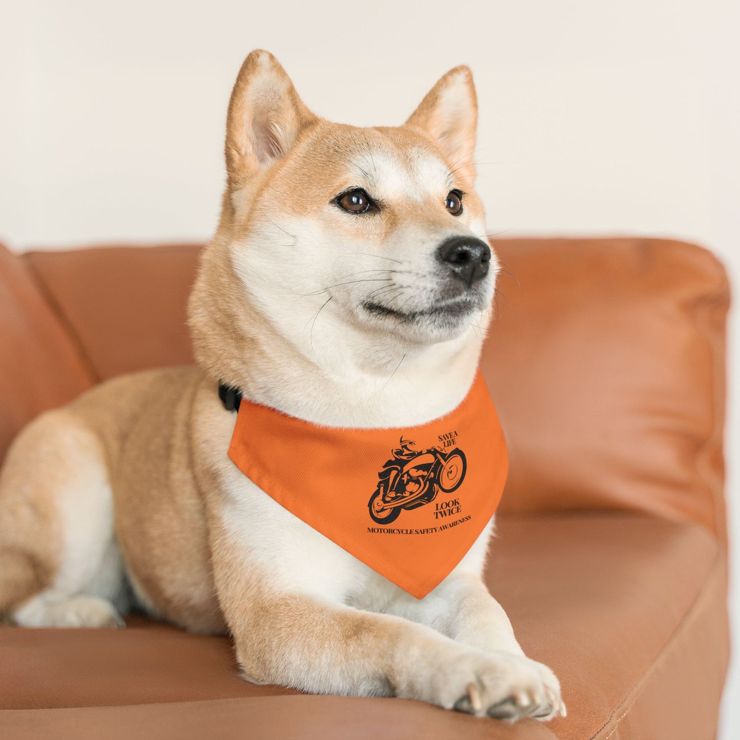 Motorcycle Safety Awareness Pet Bandana Collar