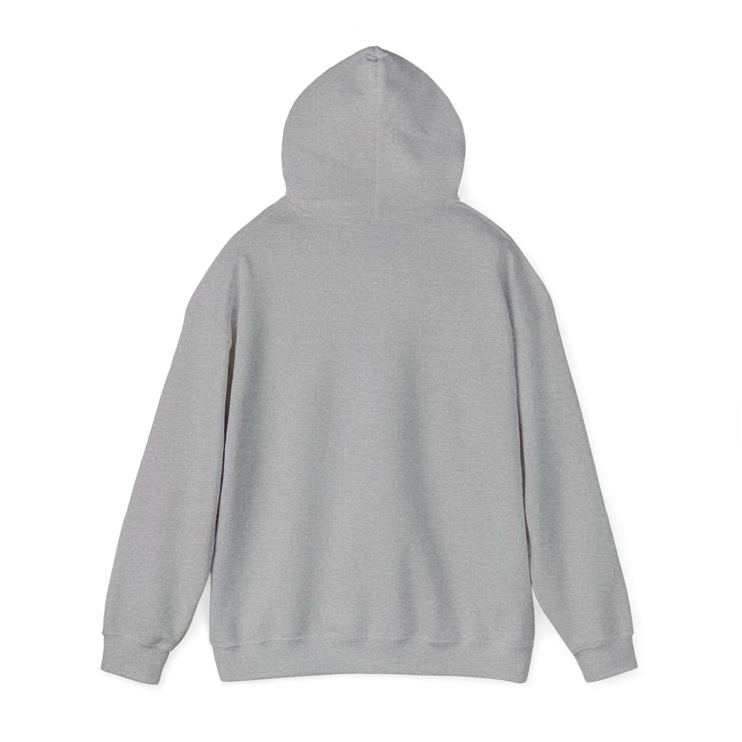 Unisex Hoodie Sweatshirt, Multiple Sclerosis Awareness, MS Awareness, Holiday Gift Ideas